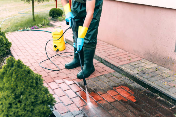 Best Dumpster Area Cleaning  in Hallandale Beach, FL