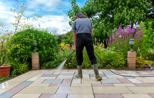 Best Animal Enclosure Cleaning  in Hallandale Beach, FL